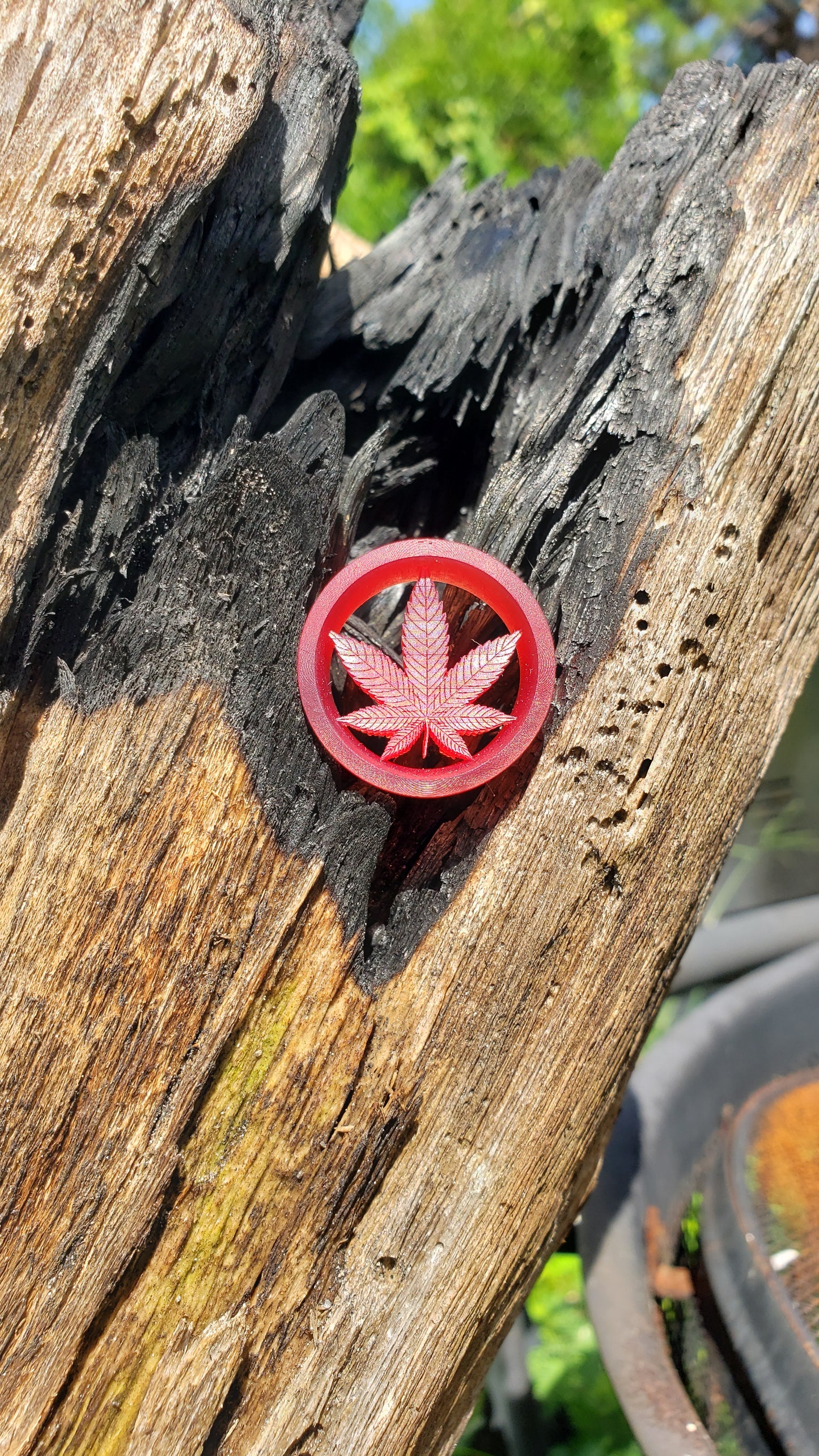 Cannabis leaf plugs